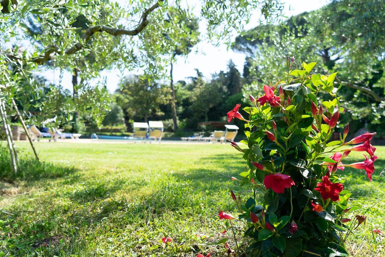 Frascati Country House Гротаферата Екстериор снимка